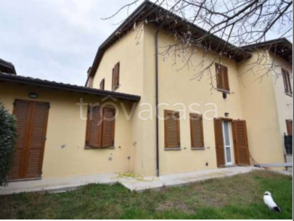 immagine annuncio 3 di 11