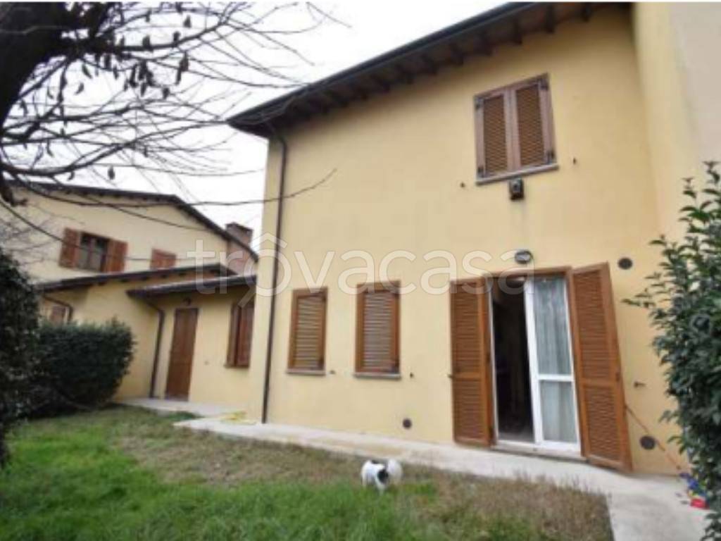 immagine annuncio 4 di 11