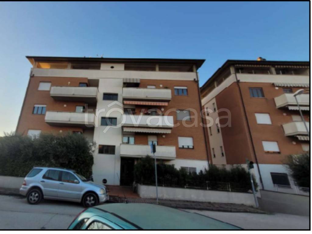 immagine annuncio 2 di 14