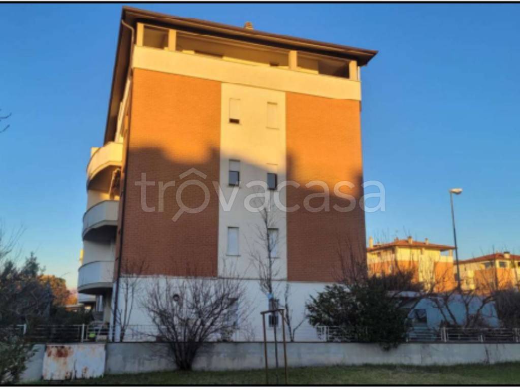 immagine annuncio 4 di 14