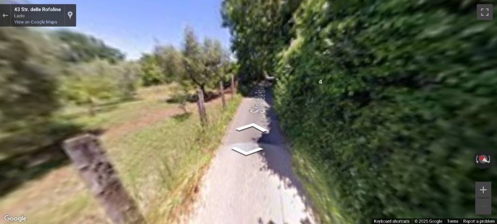 immagine annuncio 6 di 14