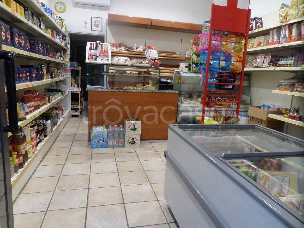 immagine annuncio 5 di 6