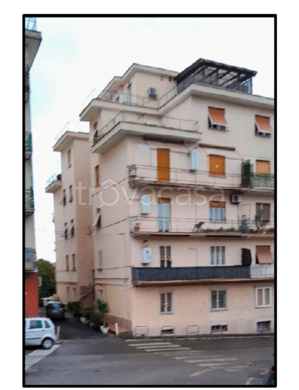 immagine annuncio 4 di 12