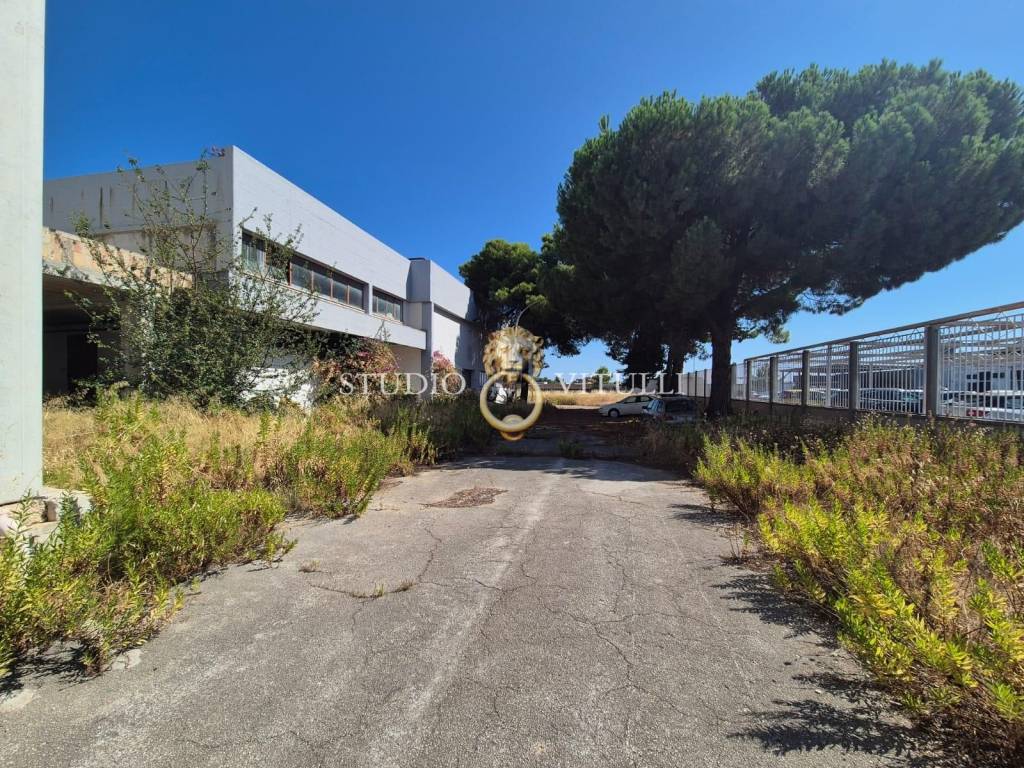 immagine annuncio 4 di 9
