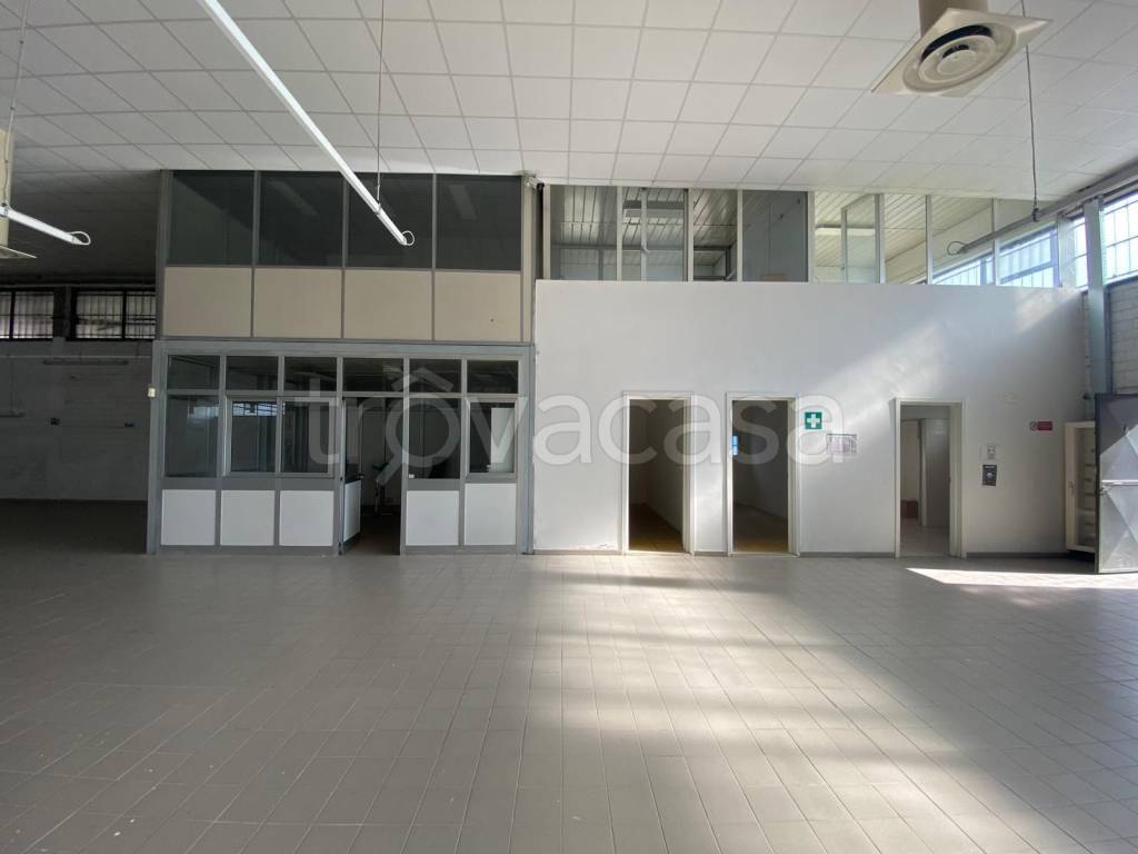immagine annuncio 2 di 11
