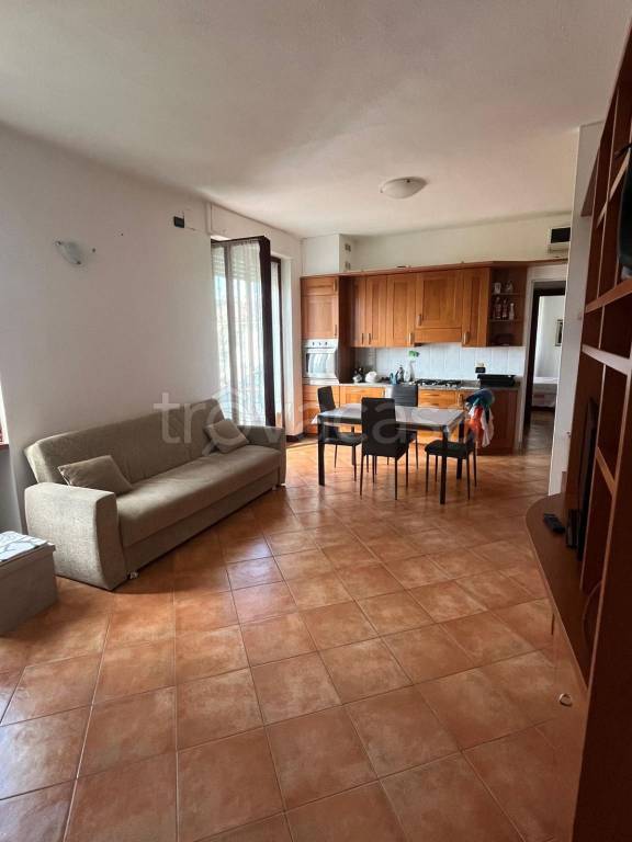 immagine annuncio 1 di 14