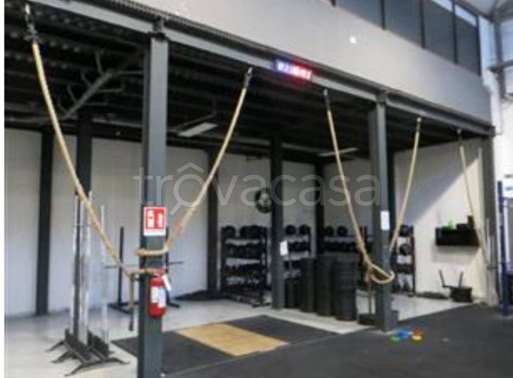 immagine annuncio 5 di 11