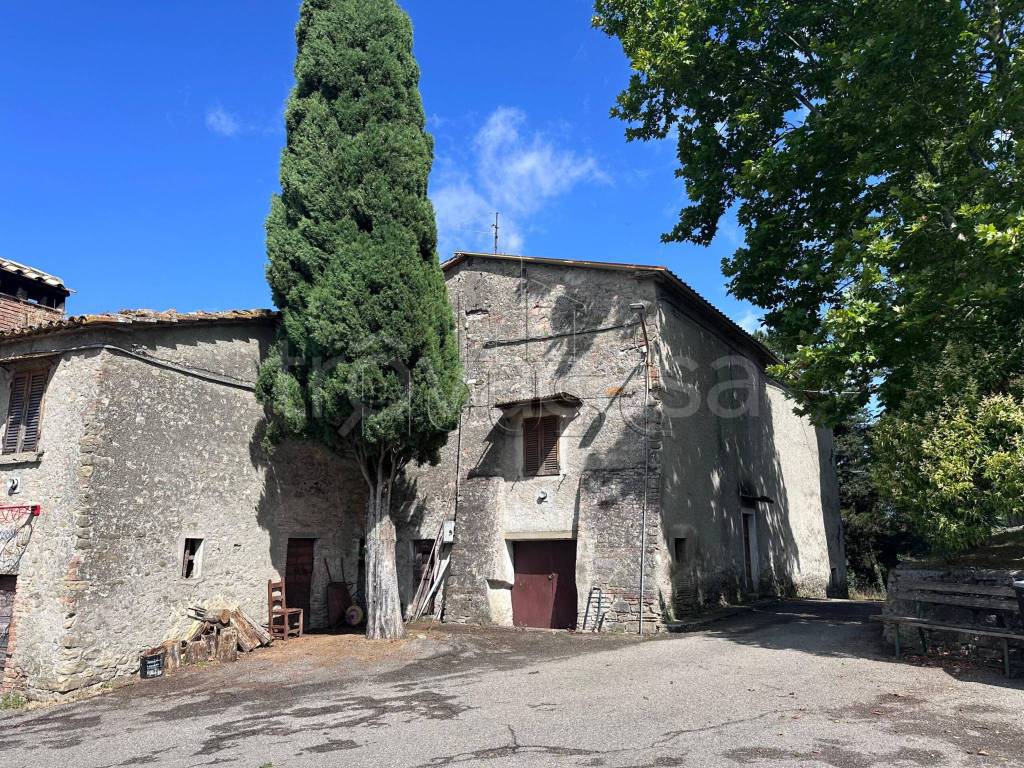 immagine annuncio 3 di 6