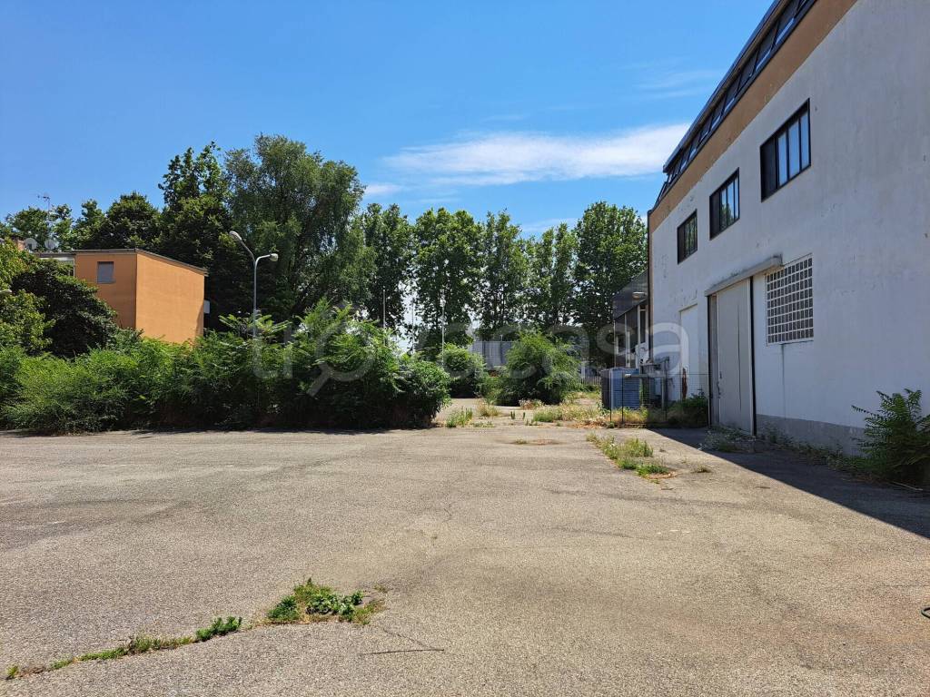 immagine annuncio 8 di 14