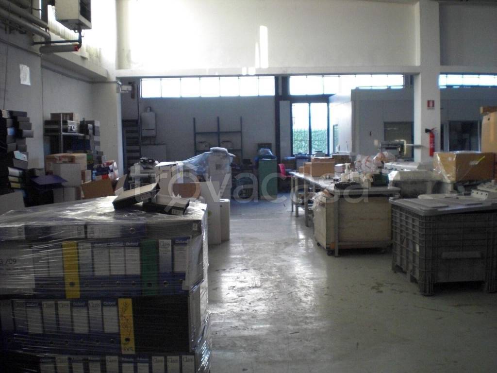 immagine annuncio 13 di 14