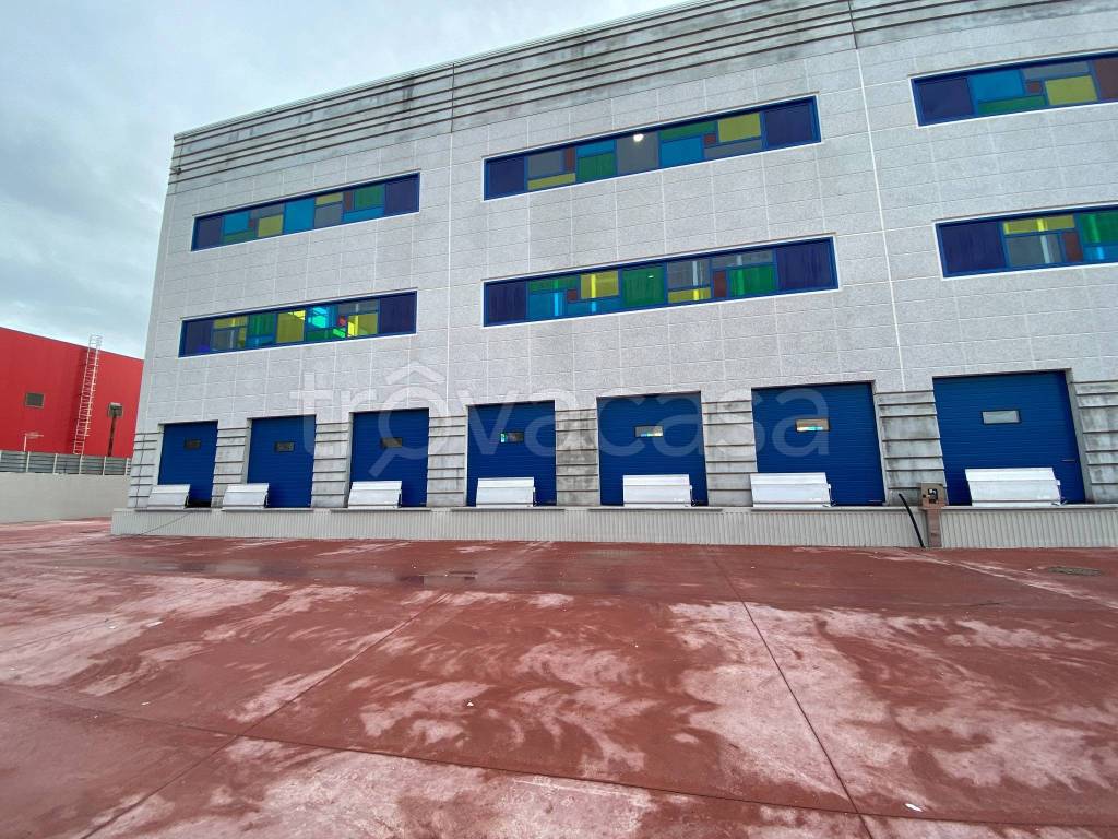 immagine annuncio 8 di 14