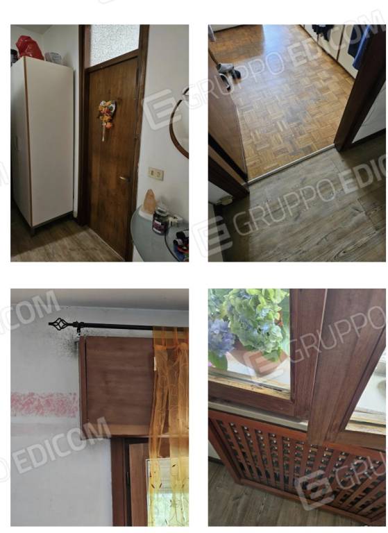 immagine annuncio 6 di 7