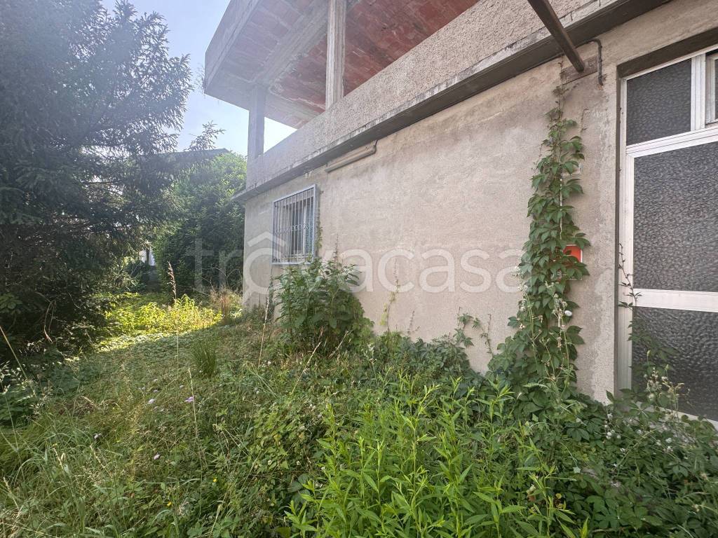 immagine annuncio 2 di 9