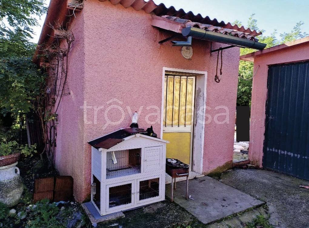 immagine annuncio 2 di 4