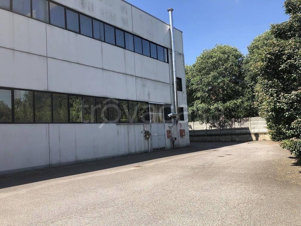 immagine annuncio 5 di 6
