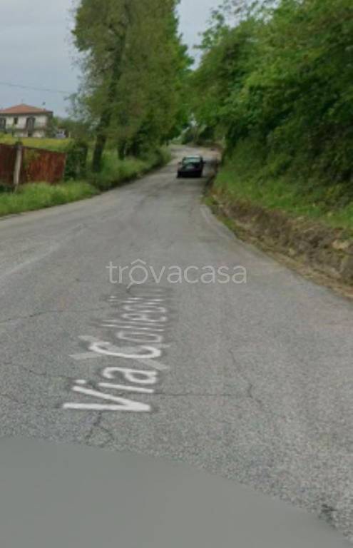 immagine annuncio 5 di 11
