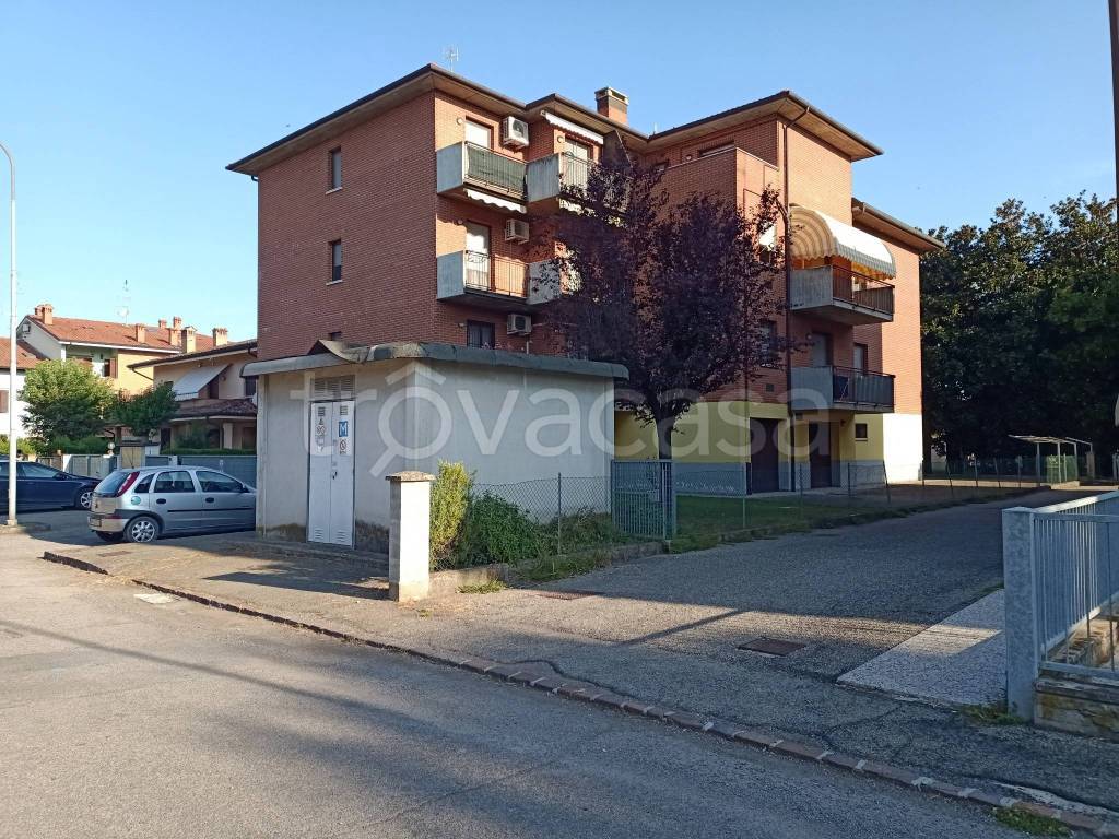 immagine annuncio 1 di 15