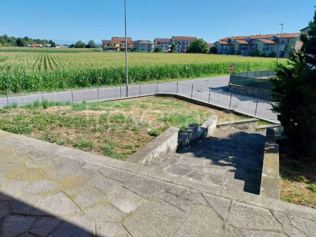 immagine annuncio 7 di 11