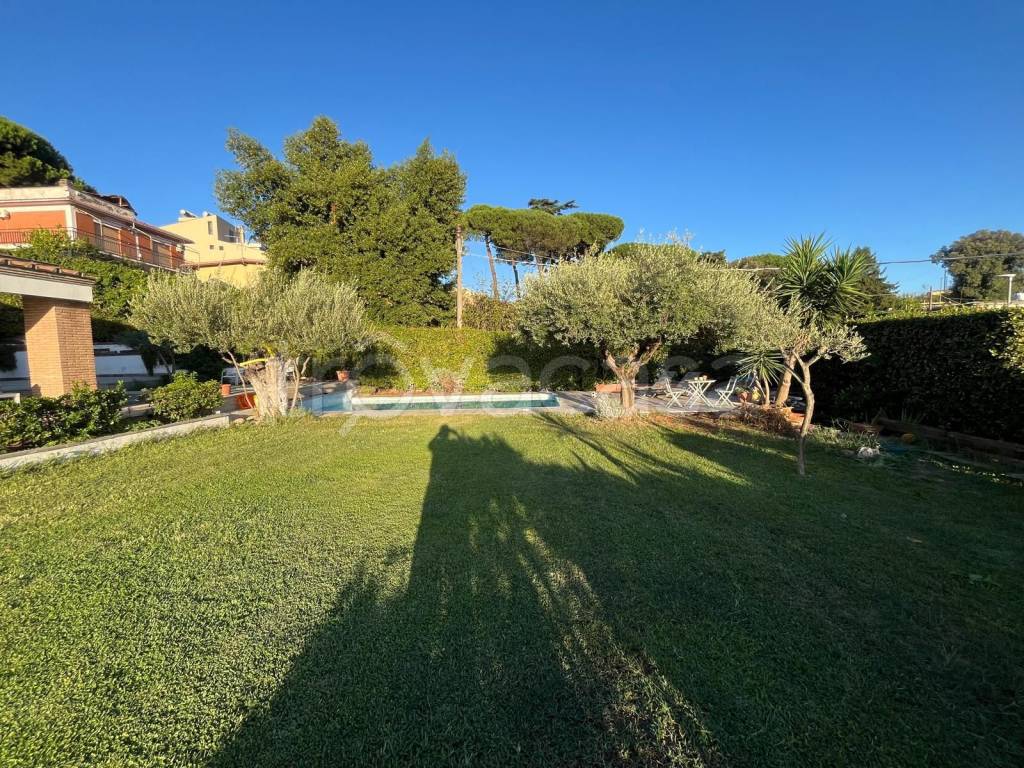 immagine annuncio 2 di 6