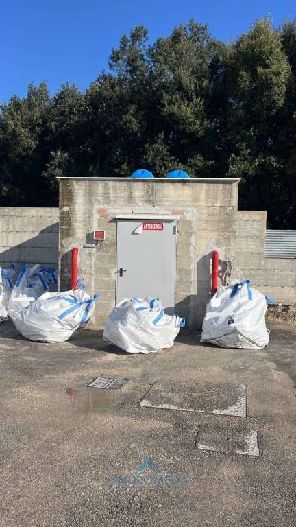 immagine annuncio 9 di 14