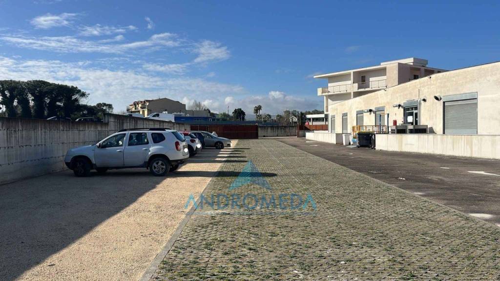 immagine annuncio 11 di 14