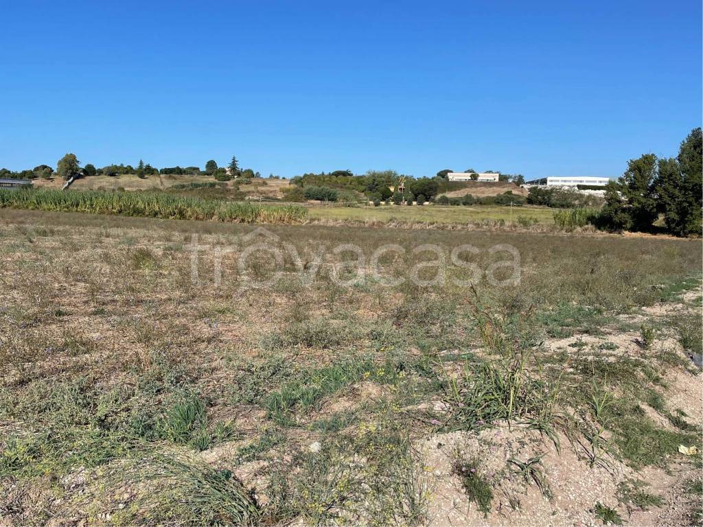 immagine annuncio 1 di 6