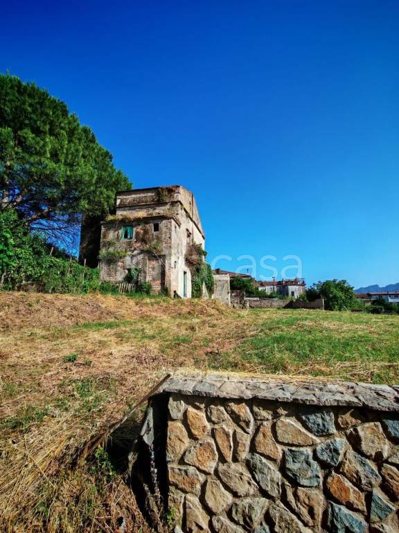 immagine annuncio 2 di 6