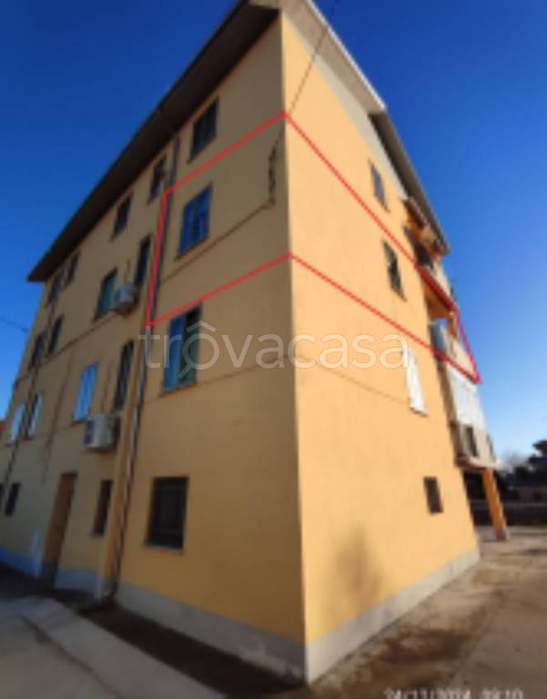 immagine annuncio 2 di 11