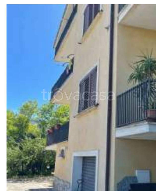 immagine annuncio 9 di 13