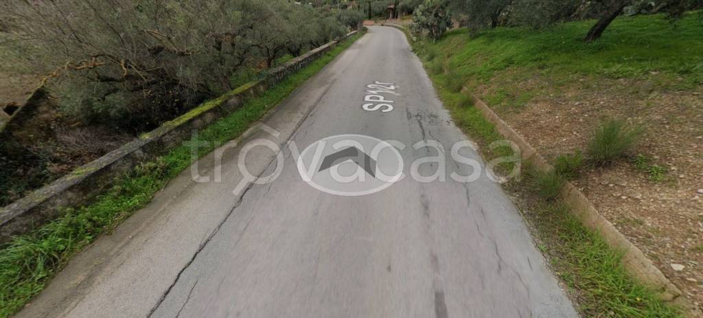 immagine annuncio 10 di 14