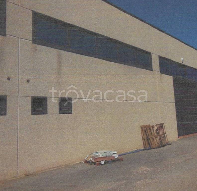 immagine annuncio 5 di 11