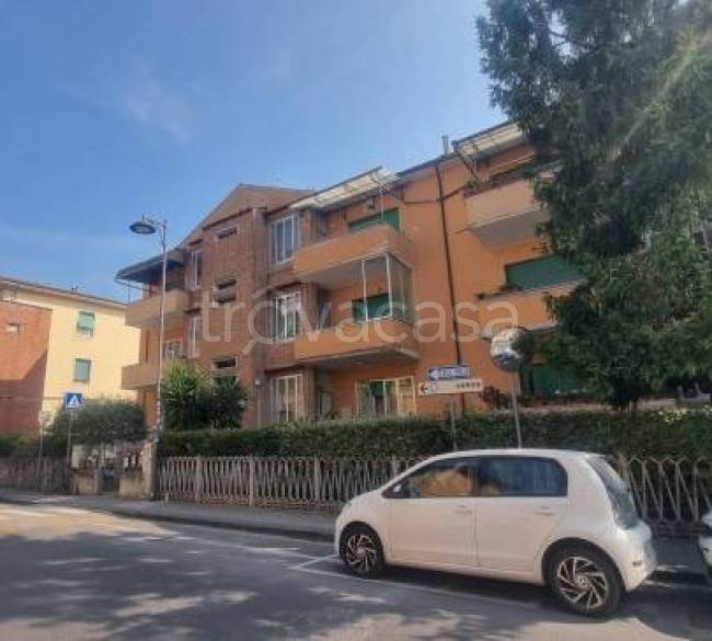 immagine annuncio 7 di 12