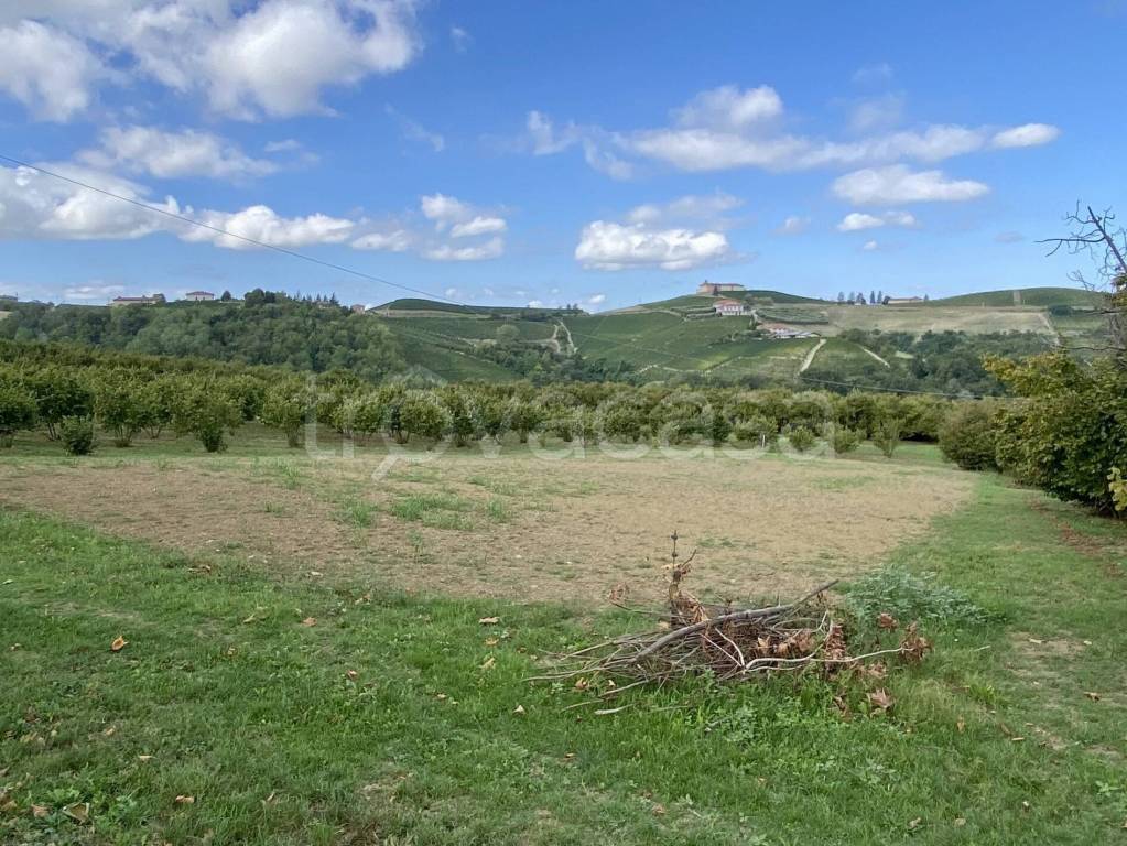 immagine annuncio 11 di 14
