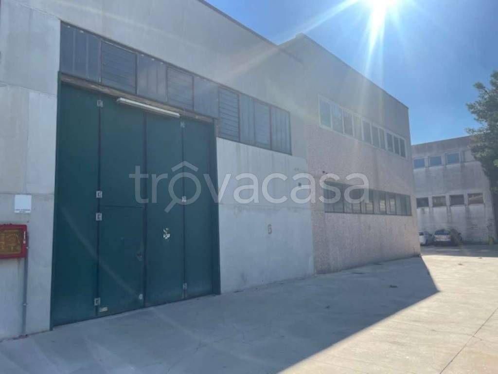 immagine annuncio 4 di 11