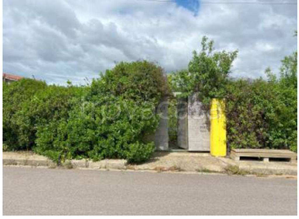 immagine annuncio 8 di 13