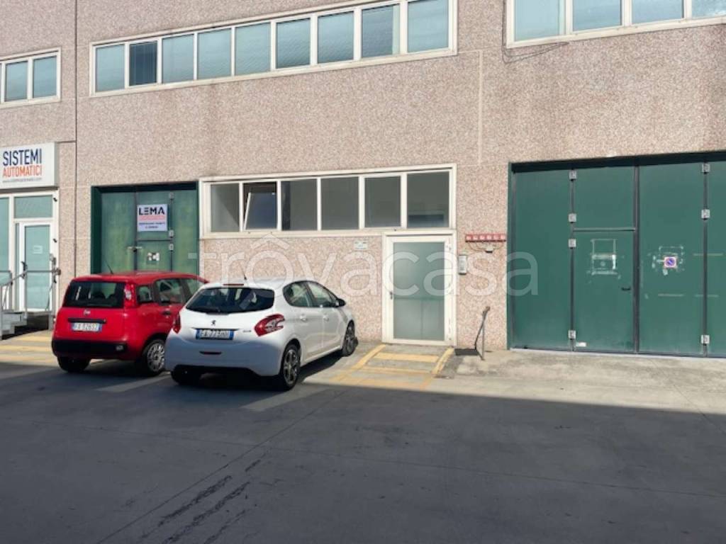 immagine annuncio 8 di 11