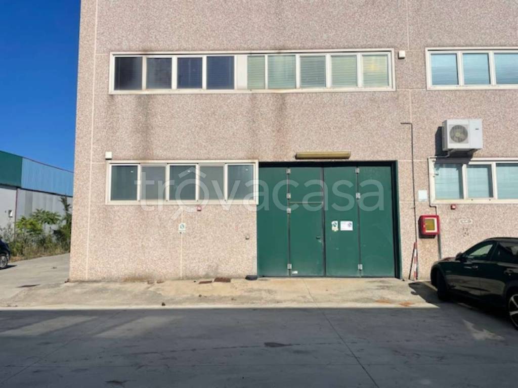 immagine annuncio 9 di 11