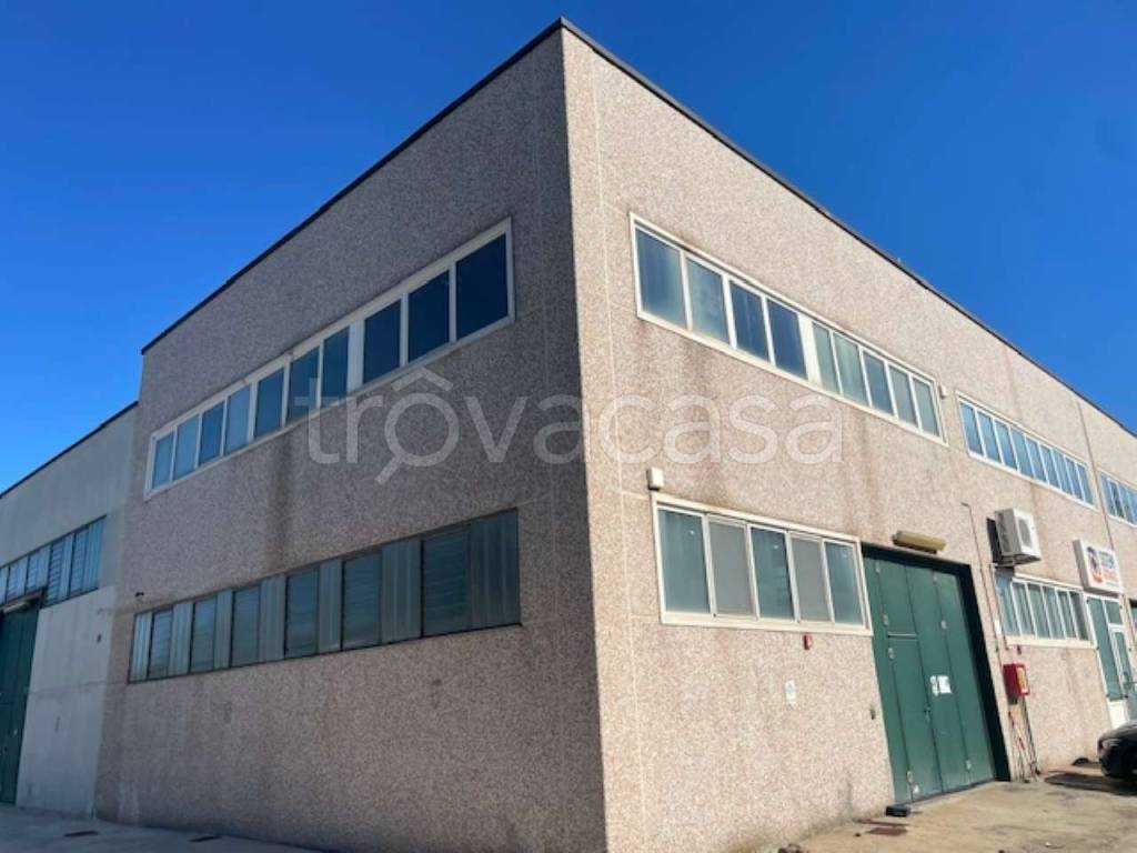 immagine annuncio 10 di 11