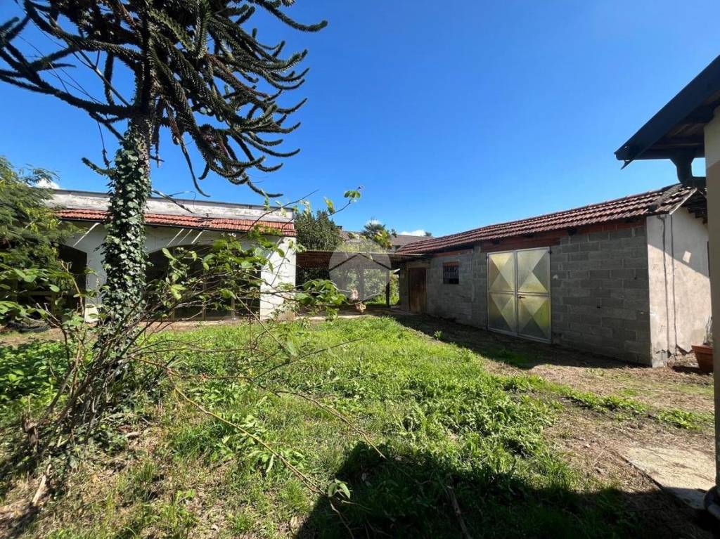 immagine annuncio 1 di 15