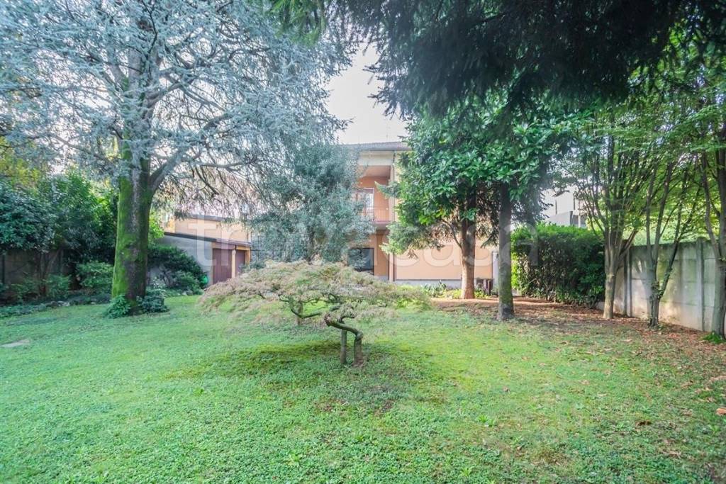 immagine annuncio 3 di 14