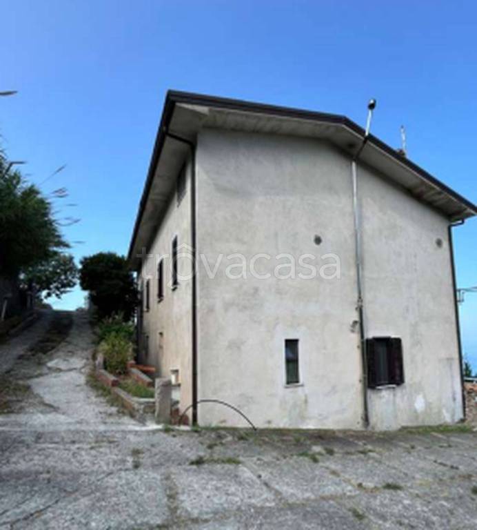 immagine annuncio 3 di 11
