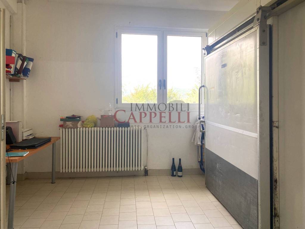 immagine annuncio 4 di 13