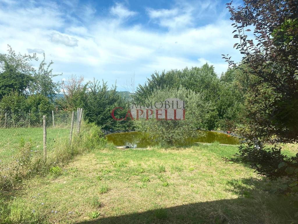 immagine annuncio 5 di 13