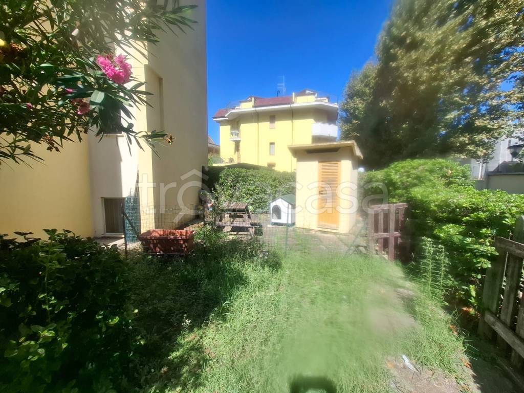 immagine annuncio 11 di 14