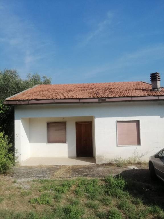 immagine annuncio 1 di 12