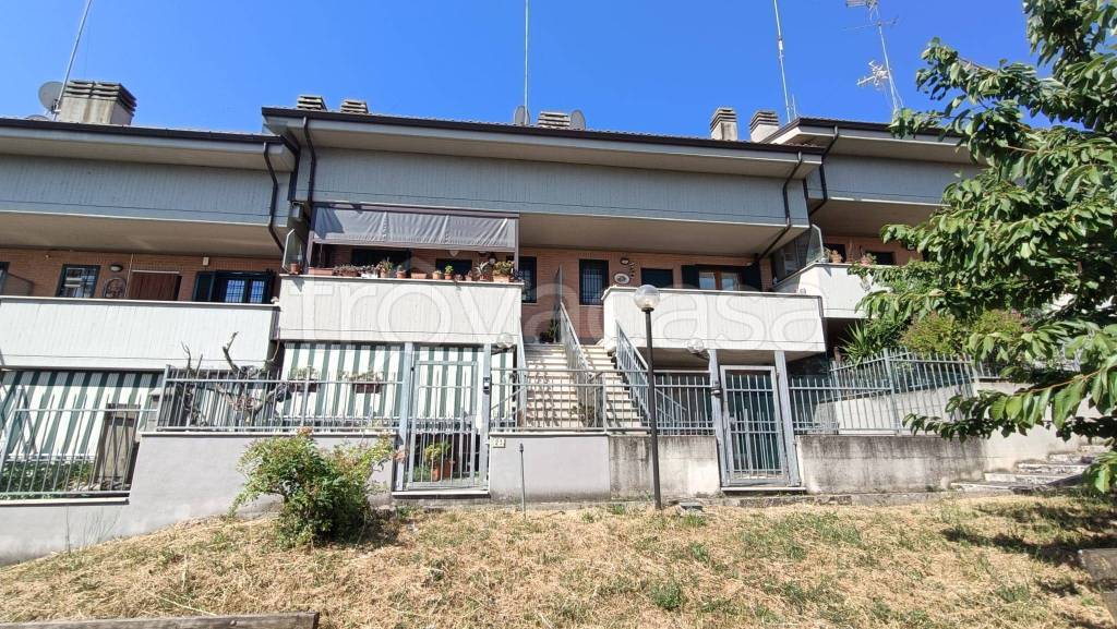 immagine annuncio 1 di 15