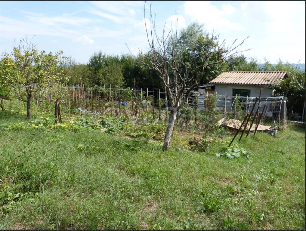 immagine annuncio 4 di 9