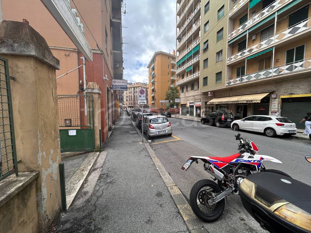 immagine annuncio 2 di 11