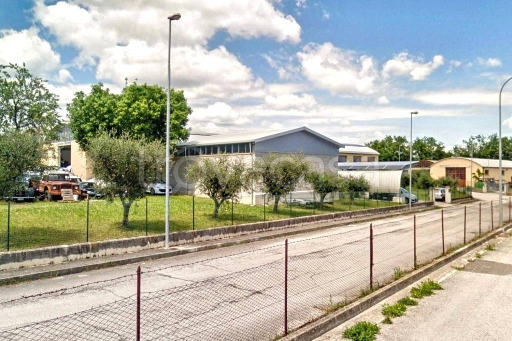 immagine annuncio 3 di 8