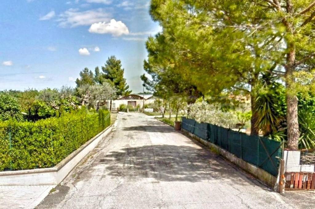 immagine annuncio 4 di 8